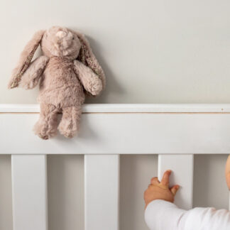 Littlefoot Bunnys - Small